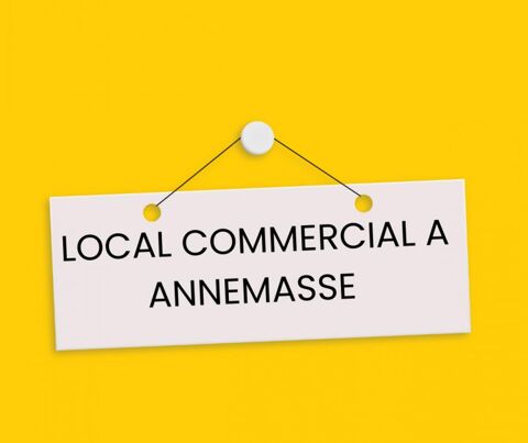 Locaux/Biens immobiliers 250000 74100 Annemasse