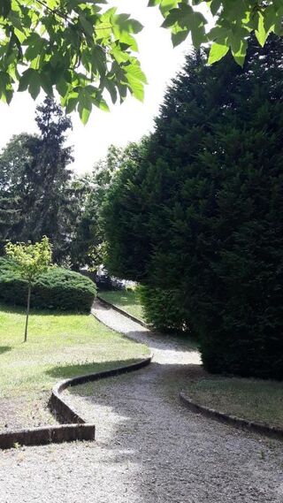  Appartement � louer 2 pi�ces 47 m�