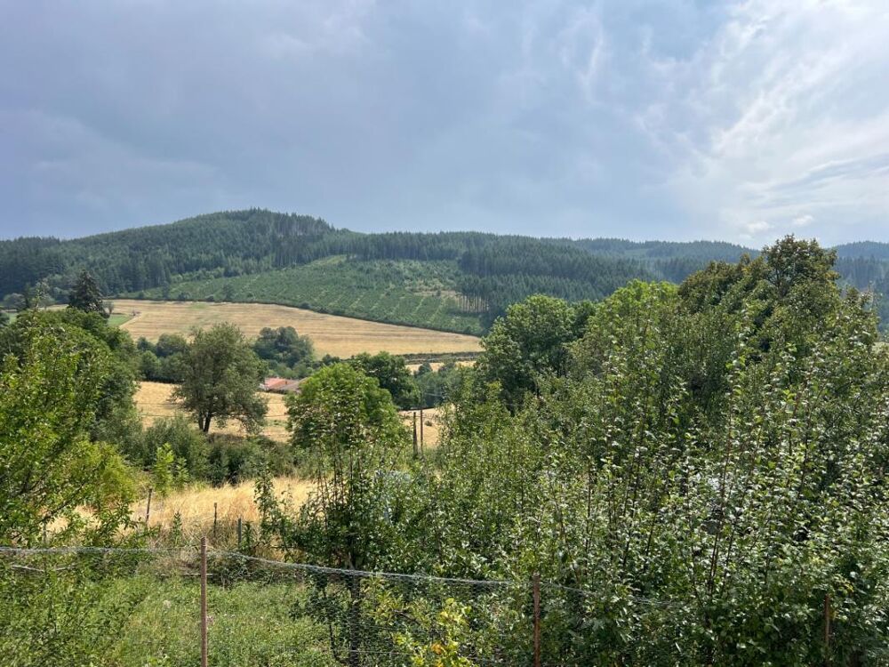 Vente Maison Maison à vendre 6 pièces Proche de LAMURE SUR AZERGUES (69) Lamure sur azergues