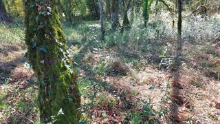  Terrain � vendre 1255 m�