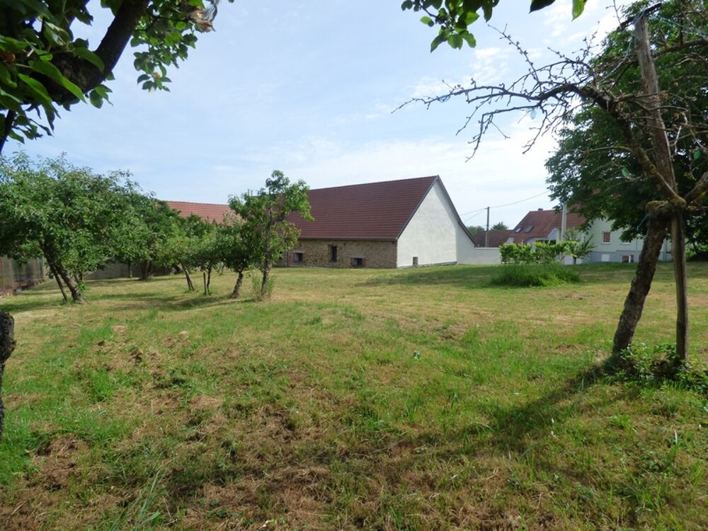 Vente Terrain Terrain à vendre  LUPSTEIN (67) Lupstein
