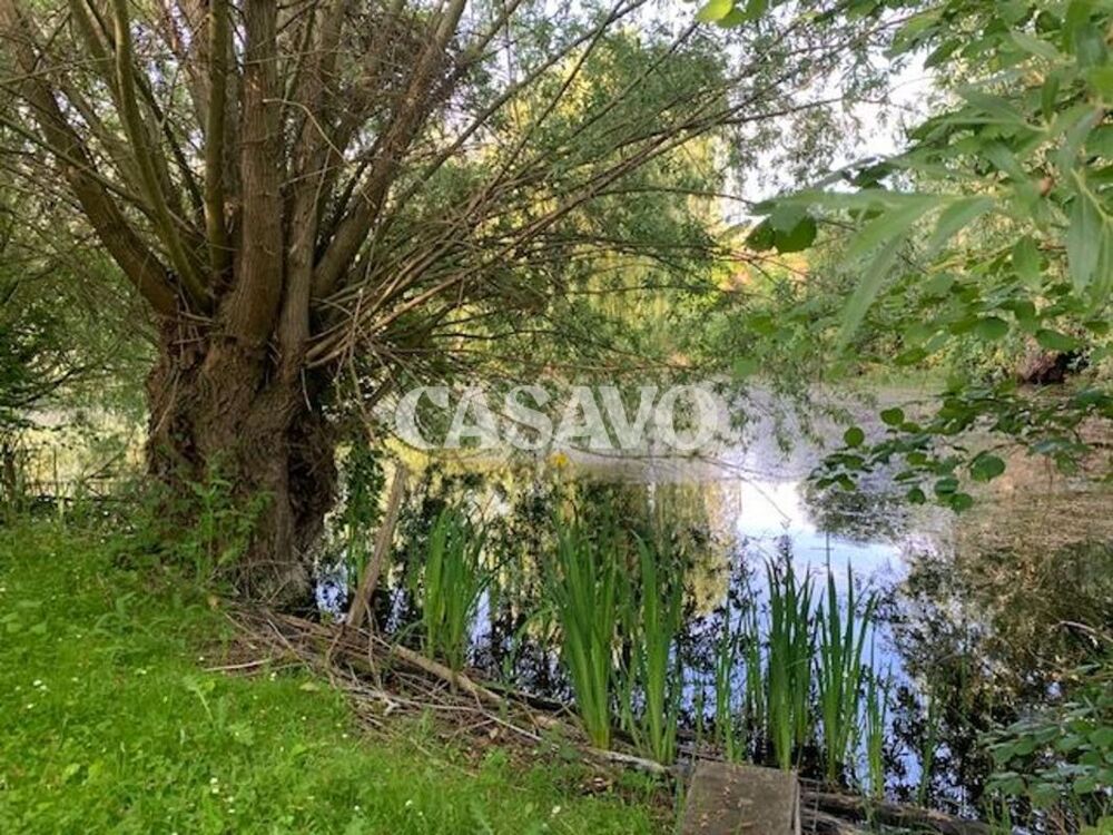 � vendre  Propri�t�/ch�teau Vaugrigneuse (91640)