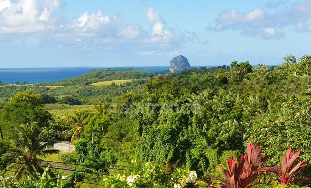 � vendre  Maison Sainte-Luce (97228)