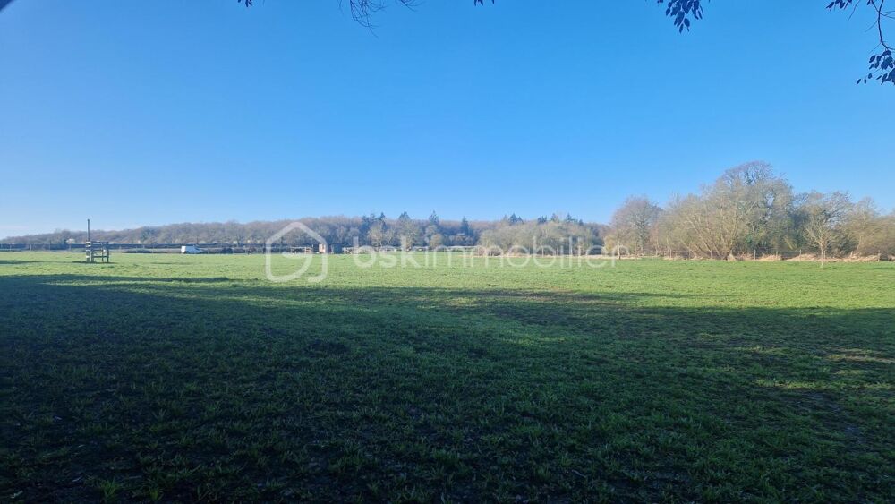 Vente Maison Sur Petit-Mars, proche Nort-sur-Erdre : longère à réhabiliter avec 2.5 hectares Petit mars