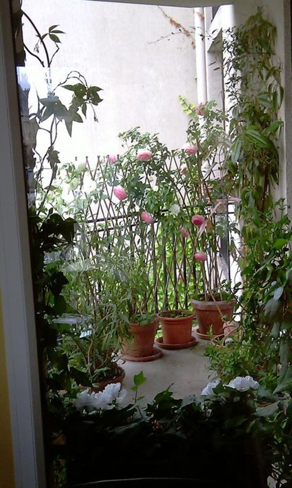 Location Appartement Chambre de 11m2 à louer sur Paris 05 Paris 5