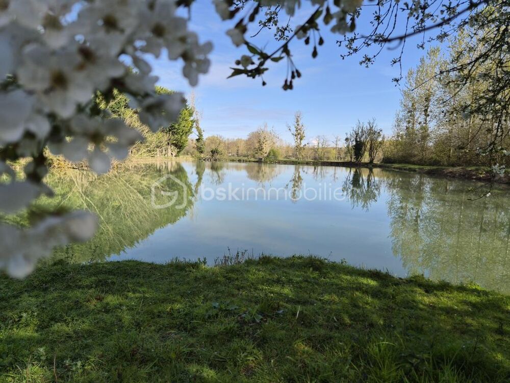 Vente Terrain Terrain de loisirs 11 000 m² – étang 6 000 m² Angliers