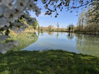  Terrain à vendre 11000 m²