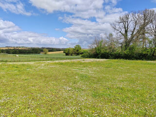  Terrain  vendre 3363 m