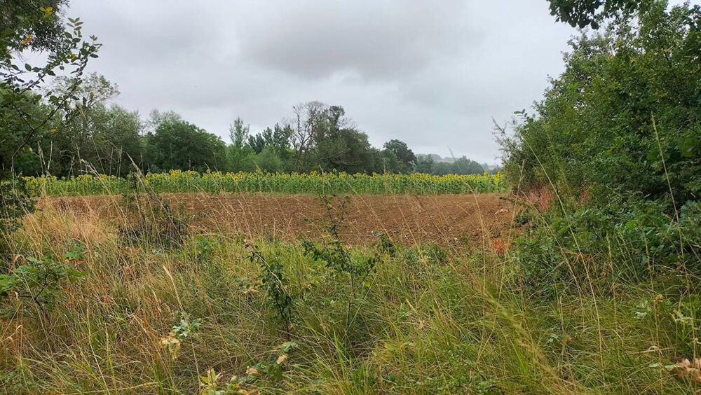 Vente Terrain Terres agricoles 40 Ha (32120 ) Puycasquier Puycasquier