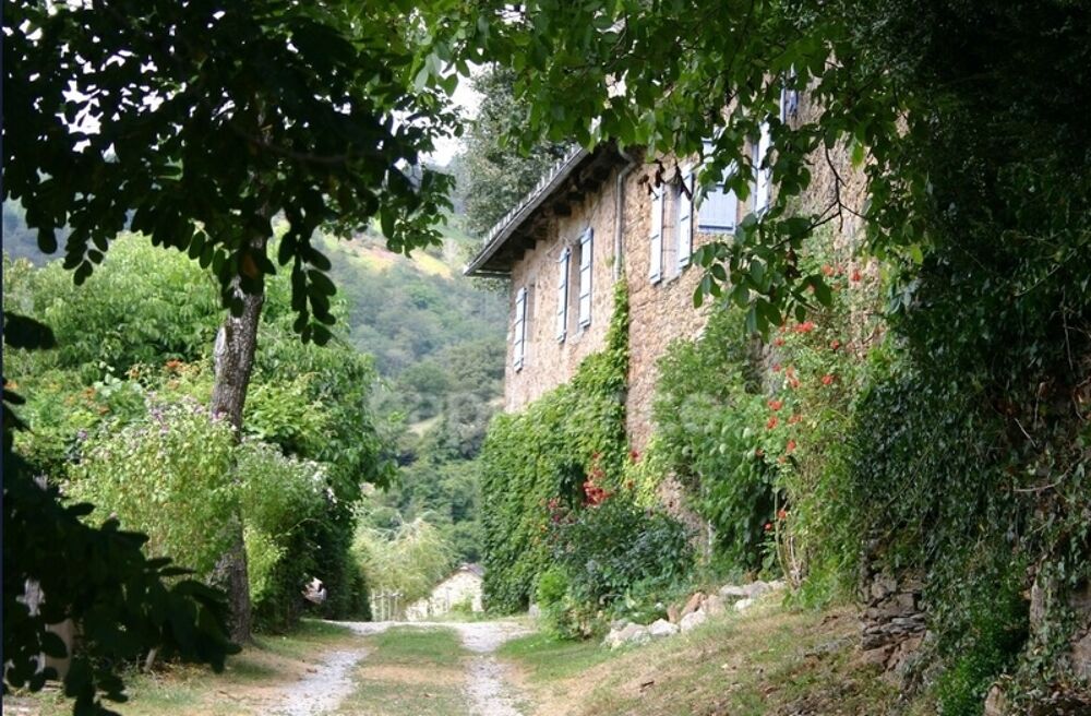 Vente Propriété/Château Propriété du XV siècle - Sur les hauteurs du Lot - Chambres d'hôtes - gîtes Vieillevie