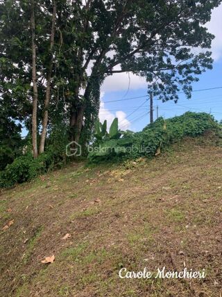  Terrain  vendre 817 m