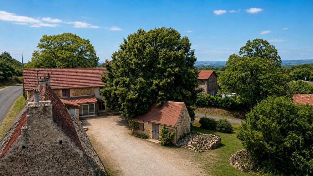 Maison familiale en pierre 175 m² avec dépendances  entre Sarlat et Montignac