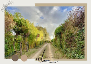  Maison � vendre 8 pi�ces 200 m�