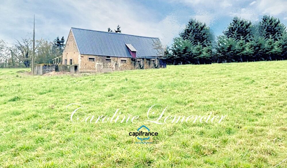 Vente Remise/Grange Maison à vendre 0 pièces proche de CONNERRE (72) GRANGE EN PIERRE DE 170 M² AVEC GRNIER SUR TOUTE LA SUPERFICIE , 2500 m² terrai Connerre