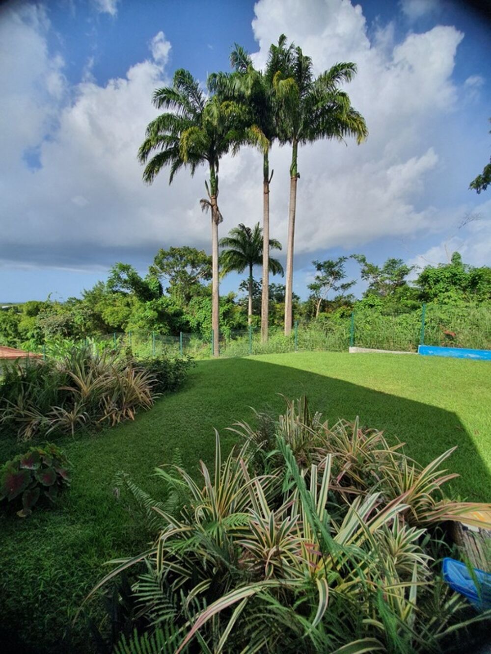Vente Villa Spacieuse villa architecte P6 vue mer éloignée avec piscine sur 1200 m² de terrain arboré et clos Petit bourg