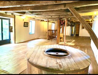  Moulin à vendre 850 m² Saint leonard de noblat