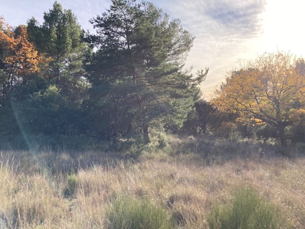 Vente Terrain ? TERRAIN À BÂTIR 2 610 m² – CADRE EXCEPTIONNEL – Baudinard-sur-Verdon ? Baudinard sur verdon