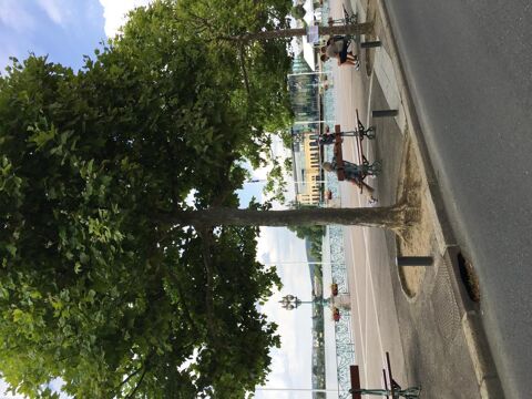  Appartement � louer 3 pi�ces 62 m�