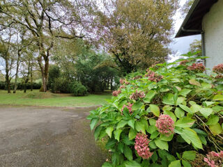  Maison � vendre 8 pi�ces 258 m�