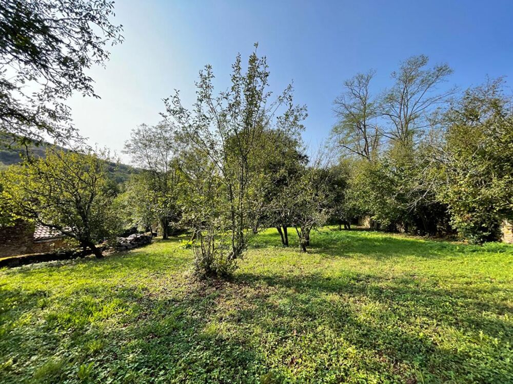 Vente Moulin Ancien moulin sur le Clunisois Cluny