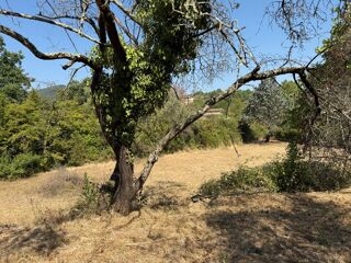  Terrain � vendre 1270 m�