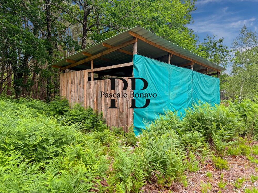 Vente Terrain VENDAYS MONTALIVET - Terrain 2327m2 avec Hangar agricole Vendays montalivet