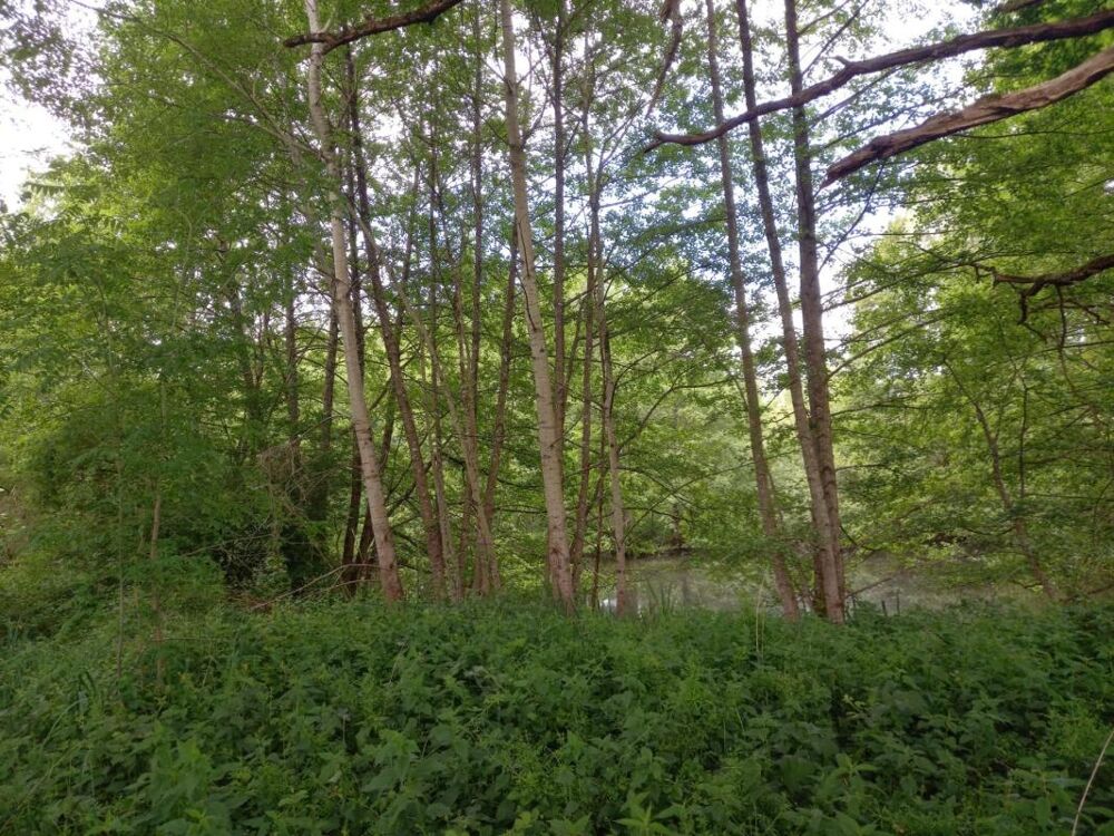 Vente Terrain Terrain à vendre de 405,00 m² COURTEMAUX (45) Courtemaux