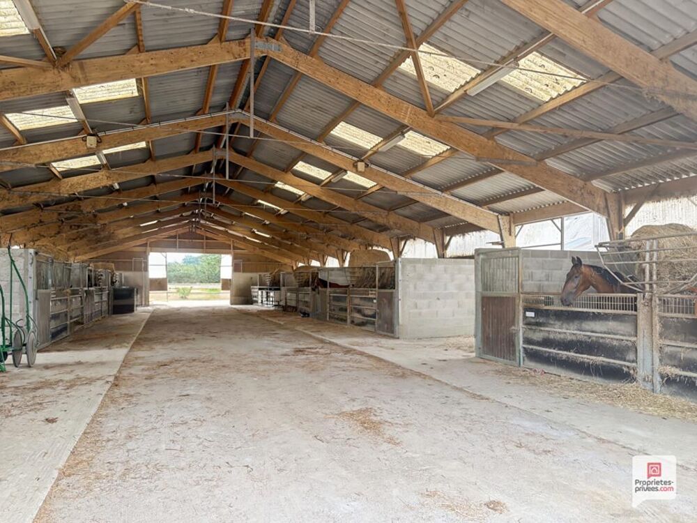 Propriété equestre Erdre En Anjou 7 pièce(s) 169 m2