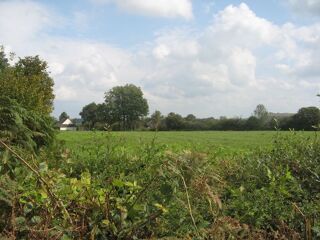  Terrain � vendre 10000 m�