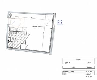  Appartement à louer 1 pièce 30 m²
