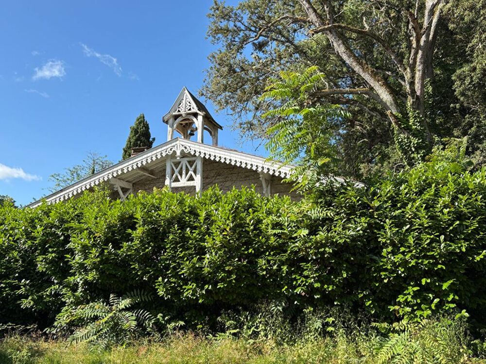 SUPERBE CHATEAU D'EXCEPTION À RÉNOVER ? VUE PANORAMIQUE SUR LA DORDOGNE