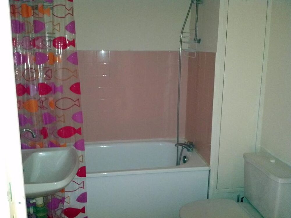 Location Appartement Appartement de 30m2 à louer sur Croix Croix