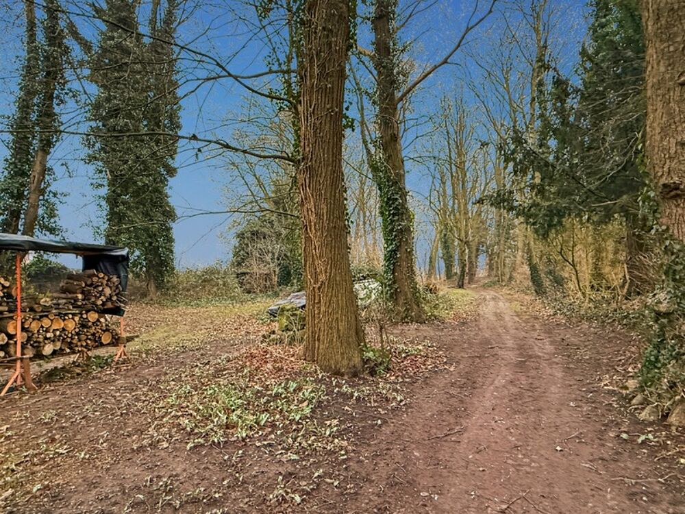  vendre  Maison Quivy (59214)