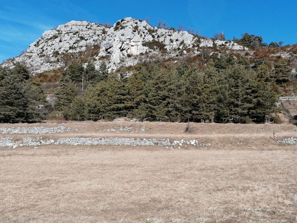 Vente Terrain Terrain Caille 3000 m2  (Alpes-Maritimes 06750) Caille