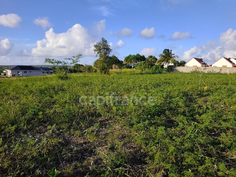 Vente Terrain Terrain à vendre   () Anse bertrand