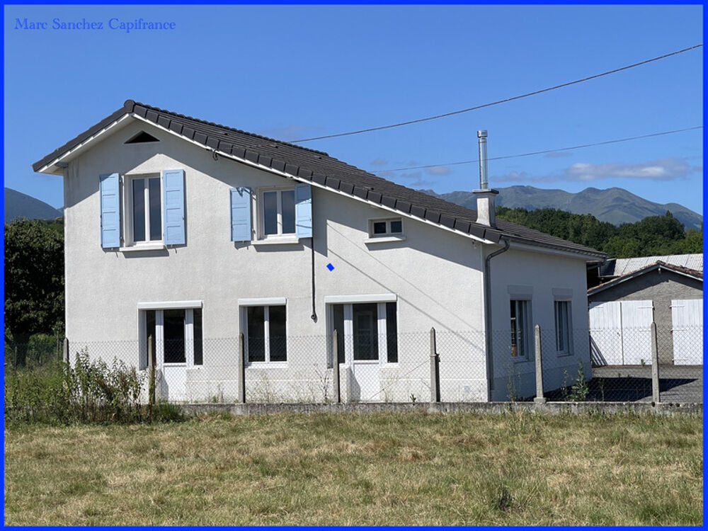 Vente Maison Nay (64) Maison à vendre 8 pièces 158 m2 avec 2 garages + Ateliers et dependances sur 5668 m2 de terrain Nay