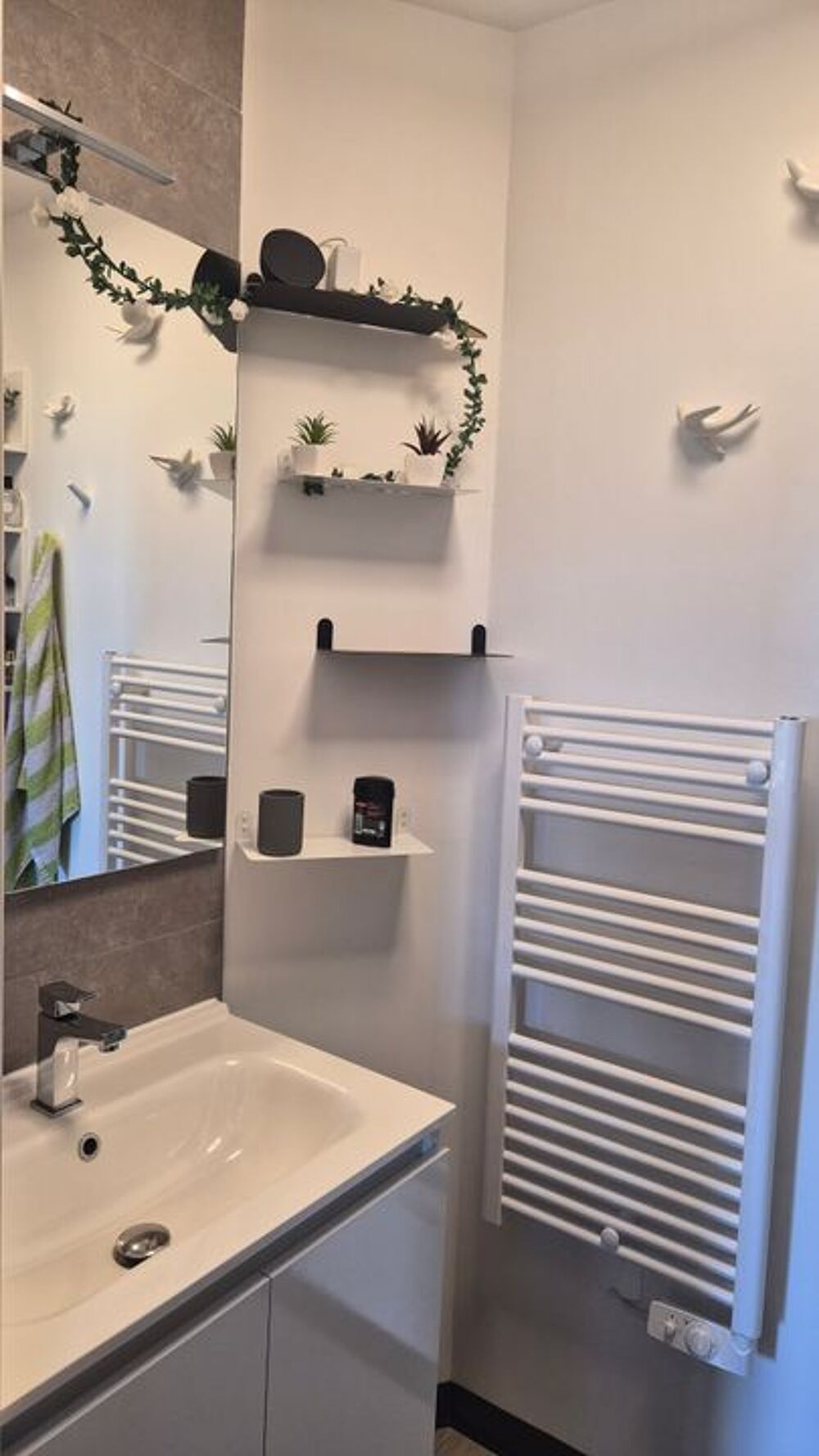 Location Appartement Chambre de 9m2 à louer sur Angers Angers
