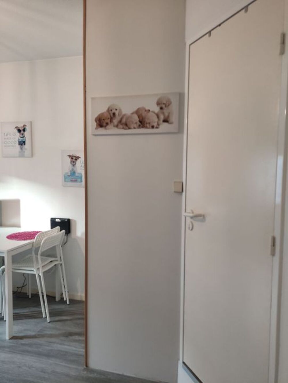 Location Appartement Studio de 21m2 à louer sur Nîmes Nimes