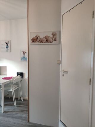  Appartement à louer 1 pièce 21 m²