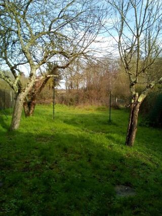  Maison � louer 5 pi�ces 100 m�