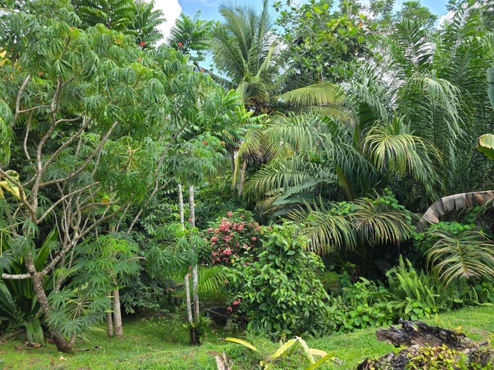 � vendre  Villa Baie-Mahault (97122)