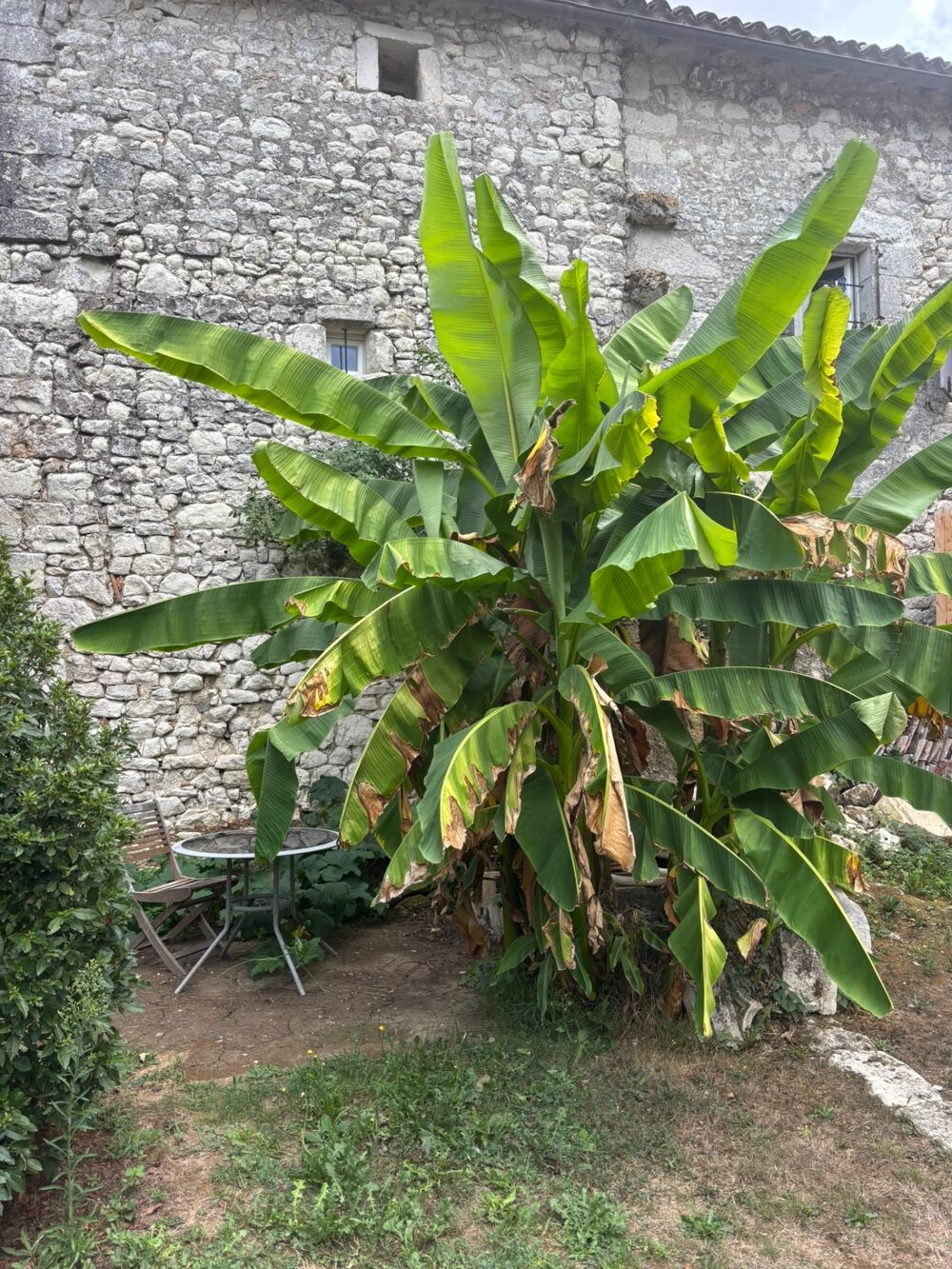 Maison de village en pierre