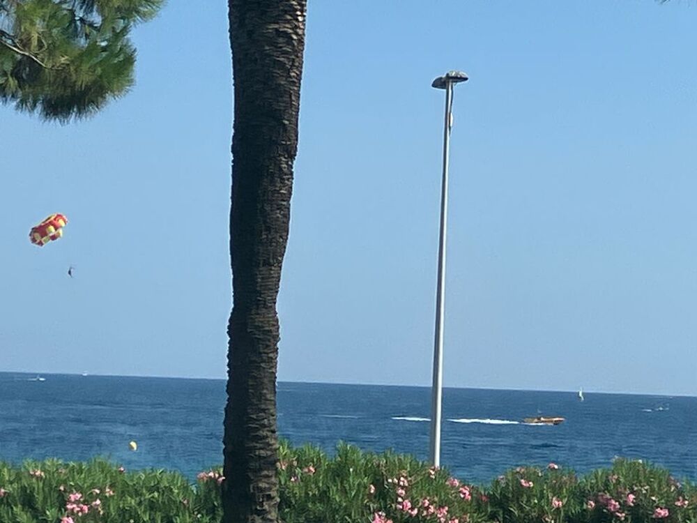 Location Appartement Appartement de 28m2 à louer sur Cannes Cannes
