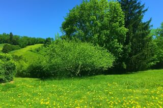  Terrain � vendre 1816 m�