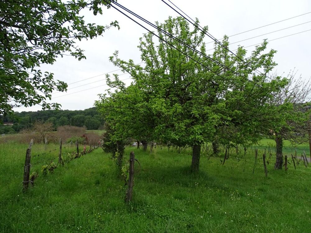 Vente Terrain Terrain Aubas 10 164 m2 Aubas