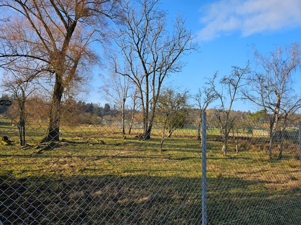 Vente Terrain Terrain à vendre, secteur THAON LES VOSGES à  IGNEY (88), de 12593m² dont une partie constructible Thaon les vosges