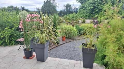   Tr�s belle maison r�nov�e � St Pair Sur Mer 5 pi�ce(s) 120 m2 Maison - 5 pi�ce(s) - 120 m�