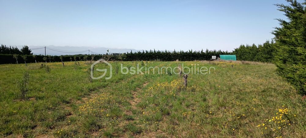 Vente Terrain ? À VENDRE – Terrain agricole avec oliviers – Caunes-Minervois ? Caunes minervois