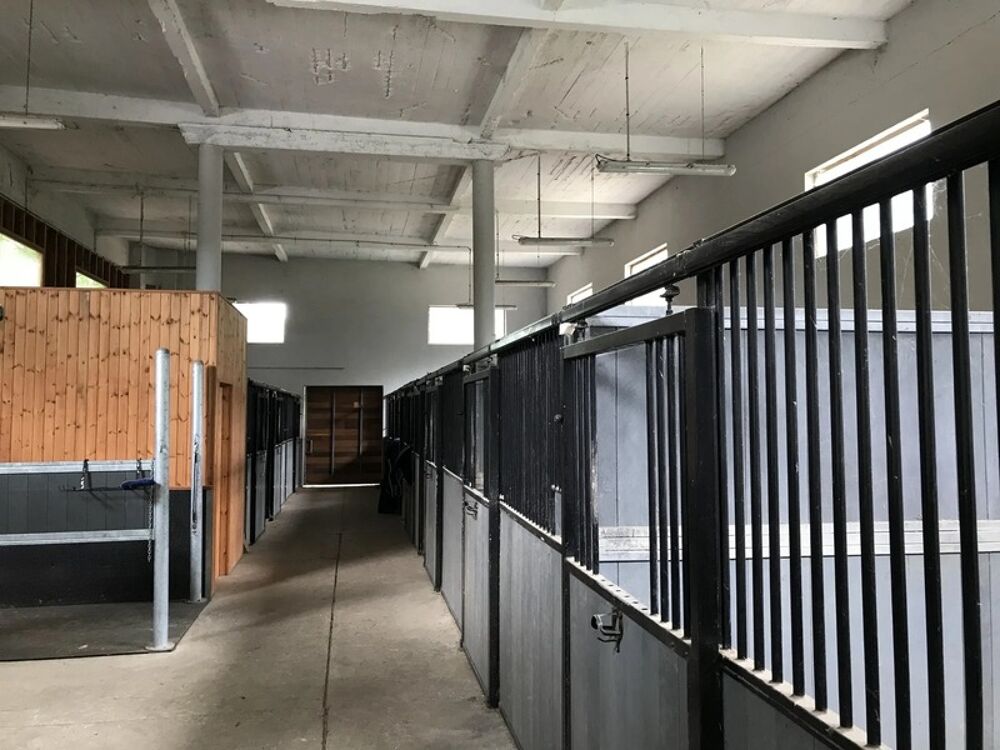 � vendre  Propri�t�/ch�teau Sancerre (18300)