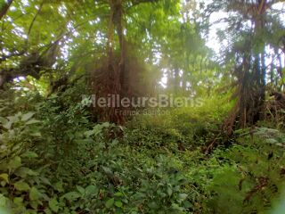  Terrain � vendre 4145 m�